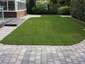 Designed Paving and landscaping