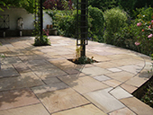 Landscape and Patio